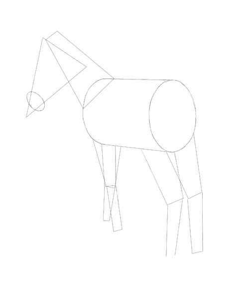 Horse Drawing.