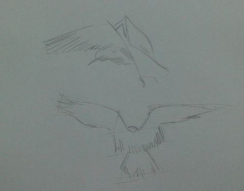 Flying Bird Sketch Drawing by Denise F Fulmer - Pixels-saigonsouth.com.vn