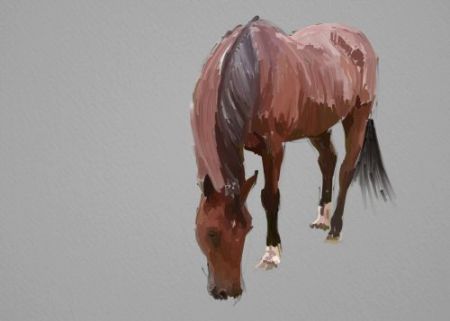 Horse Painting Step by Step 10