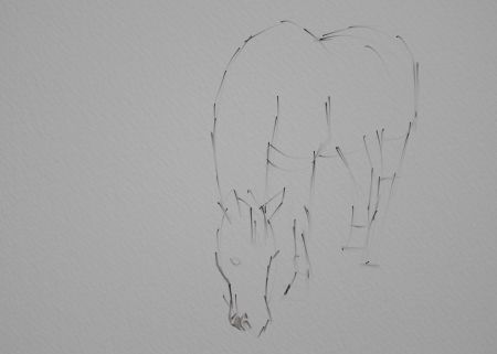 Horse Painting Step by Step 2