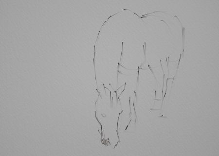 Horse Painting Step by Step 2