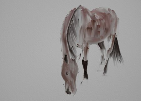 Horse Painting Step by Step 5