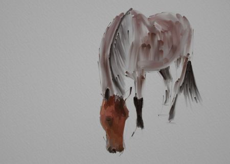 Horse Painting Step by Step 6