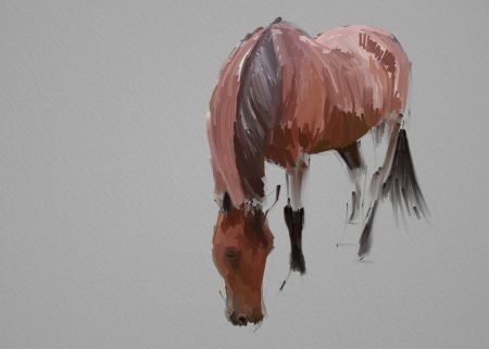 Horse Painting Step by Step 7