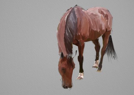 Horse Painting Step by Step 8