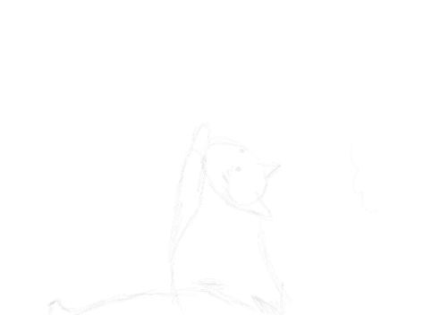 cat sketches in pencil 14