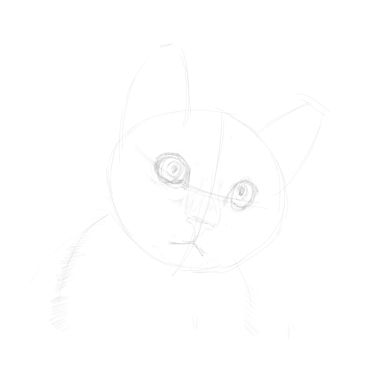 cat sketches in pencil 6