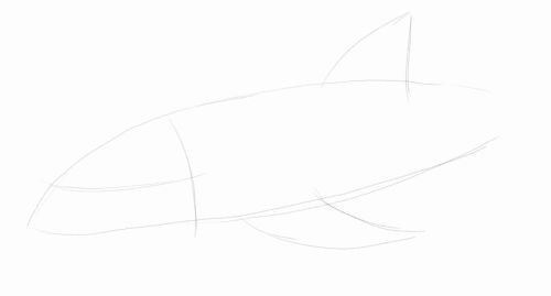 Dolphin line drawing 2