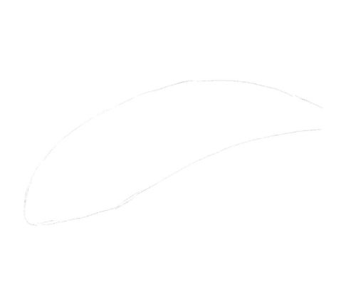Dolphin line drawing 7