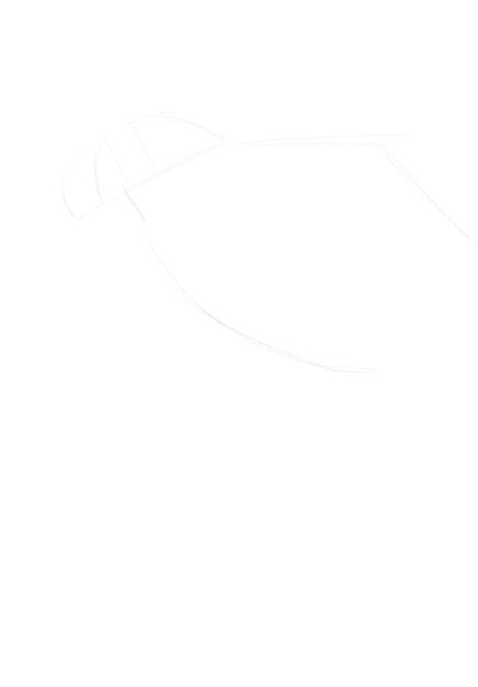 eagle sketch in pencil 3