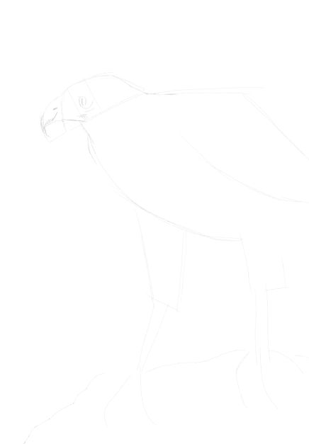 eagle sketch in pencil 10