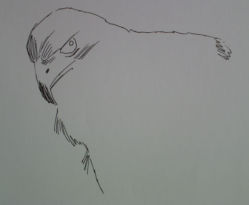 pen and ink eagle drawings 6