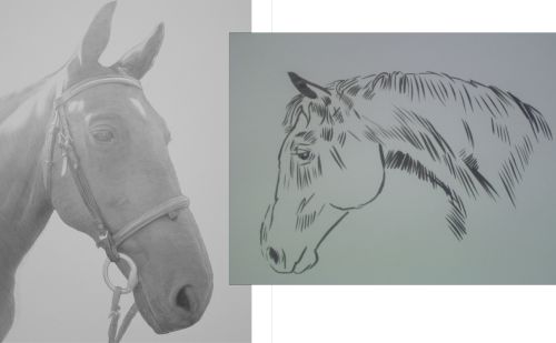 Things to Think About When Illustrating Horses | Muddy Colors