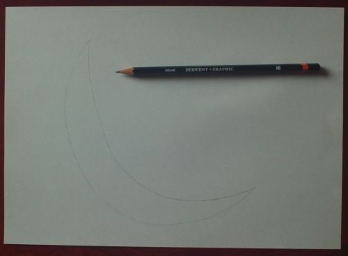 dolphin drawing guidelines 1