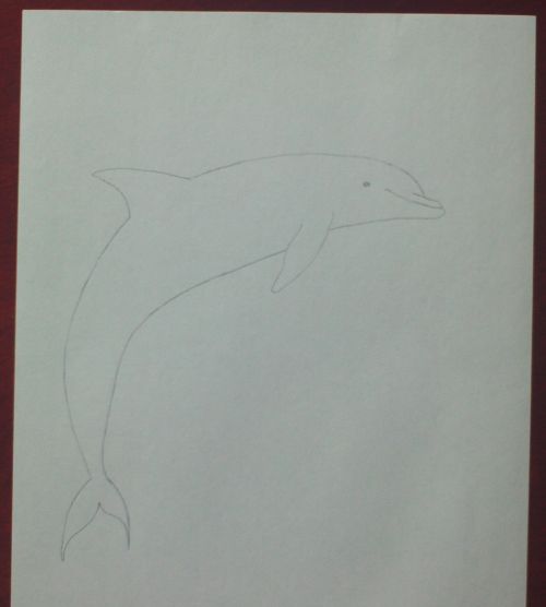 dolphin line drawing