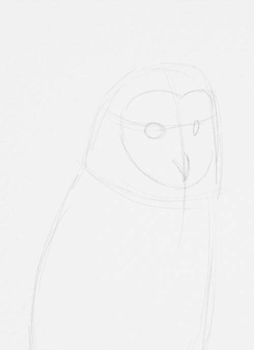 Owl Drawings step by step in Pencil 9
