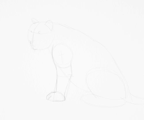 Tiger sketch in pencil 10