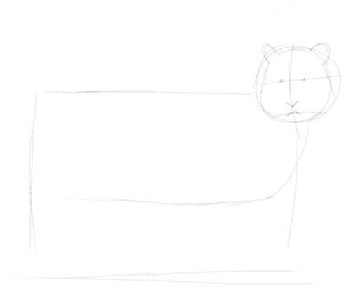 Tiger sketch in pencil 2