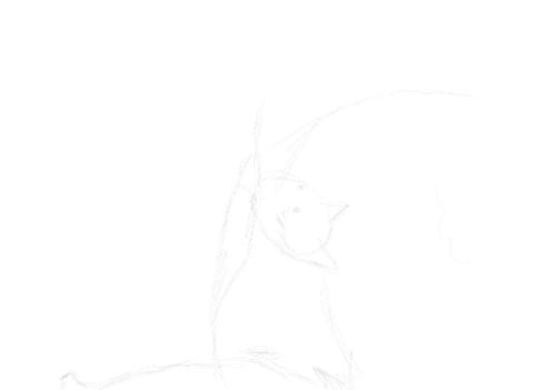 cat sketches in pencil 15