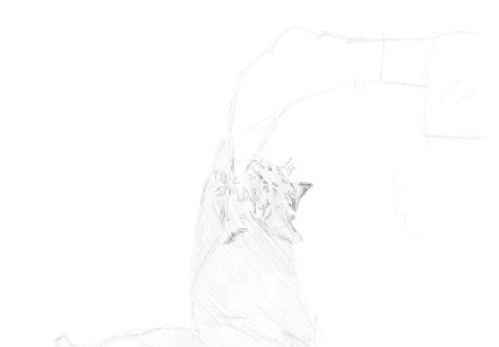 cat sketches in pencil 19